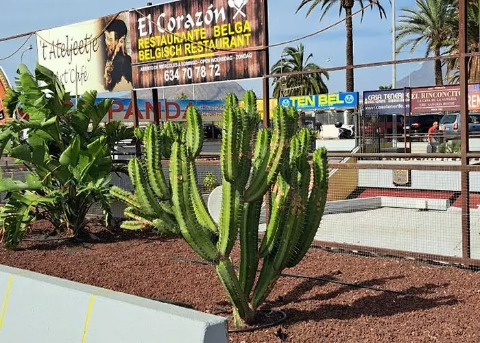 Casa Mika アパート *